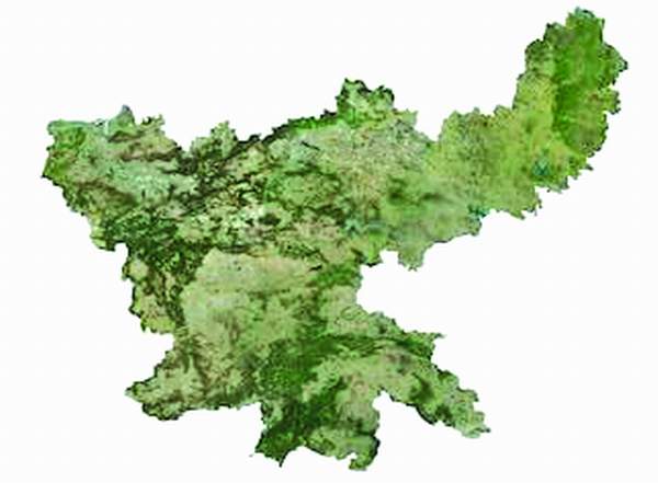 Ground Zero से सर्वे रिपोर्ट : झारखंड में किसी भी दल को बहुमत के आसार&nbsp;नहीं