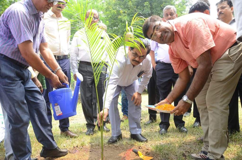 वृक्ष ही पर्यावरण के रक्षक, करें इनकी रक्षा : BSL&nbsp;CEO