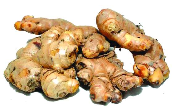 जानिए अदरक के ये अचूक घरेलू&nbsp;नुस्खे