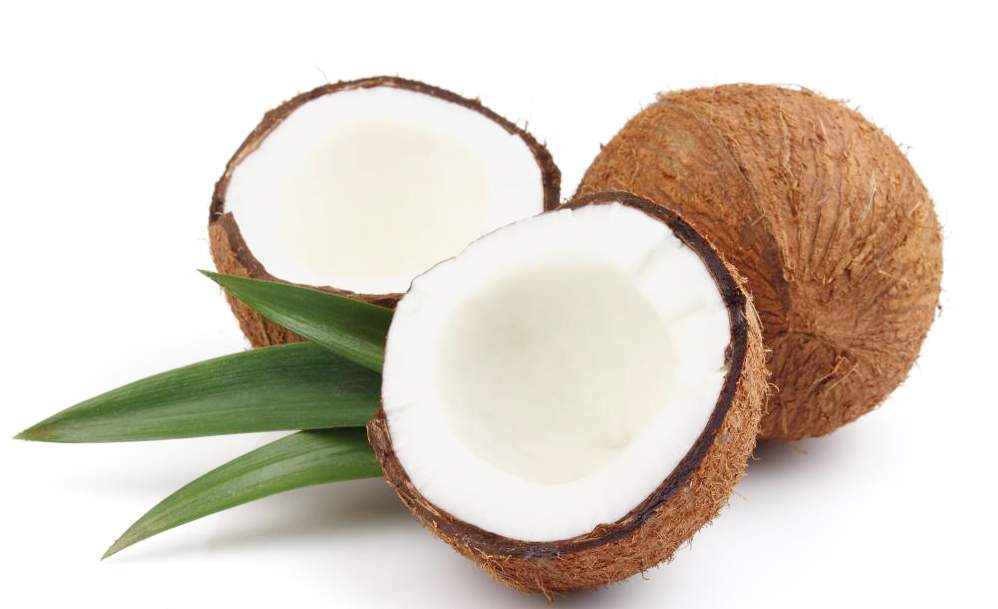 नारियल- जितना शुभ पूजा में, उतना ही सेहतमंद&nbsp;भी