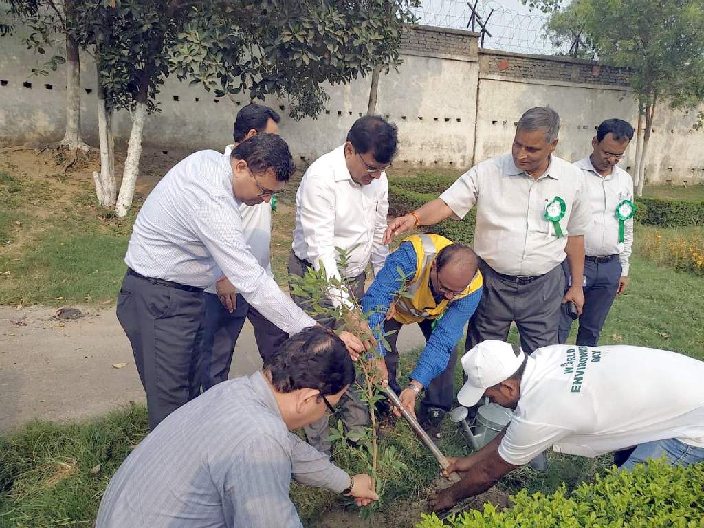 हर दिन पर्यावरण दिवस मनाने की है जरूरत :&nbsp;DDC