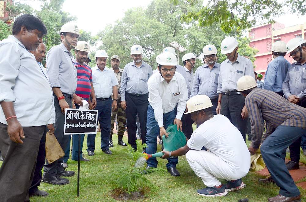 बोकारो स्टील प्लांट में नये उद्यान का शुभारम्भ, CEO ने किया उद्घाटन व पौधरोपण