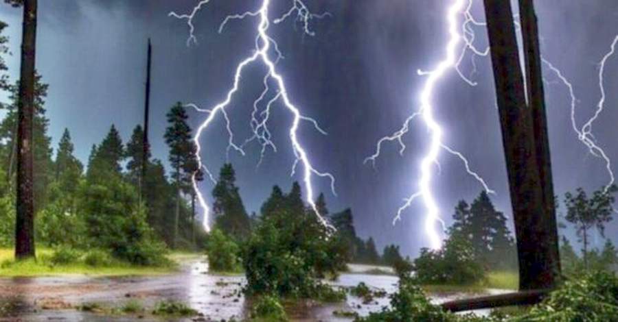 खेत में धान रोप रही थी महिला, आसमान से गिरा कहर और हो गई&nbsp;मौत