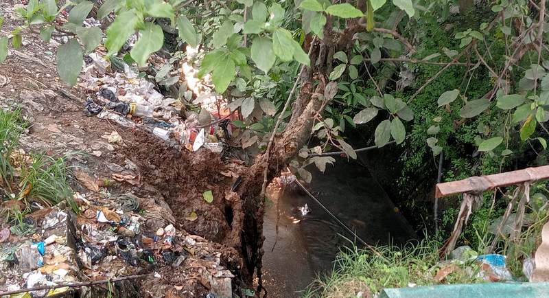 DVC की नाक के नीचे ‘स्वच्छ कोनार’ का सपना चकनाचूर!खटालों का गोबर सीधे नदी में बहाया जा&nbsp;रहा